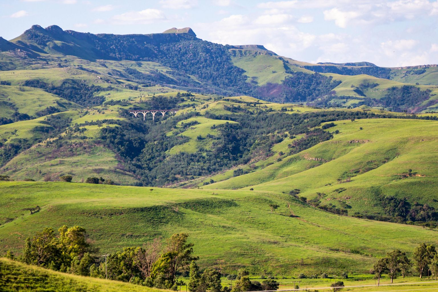 Spirit of the Sun: African Artisanal Home Decor