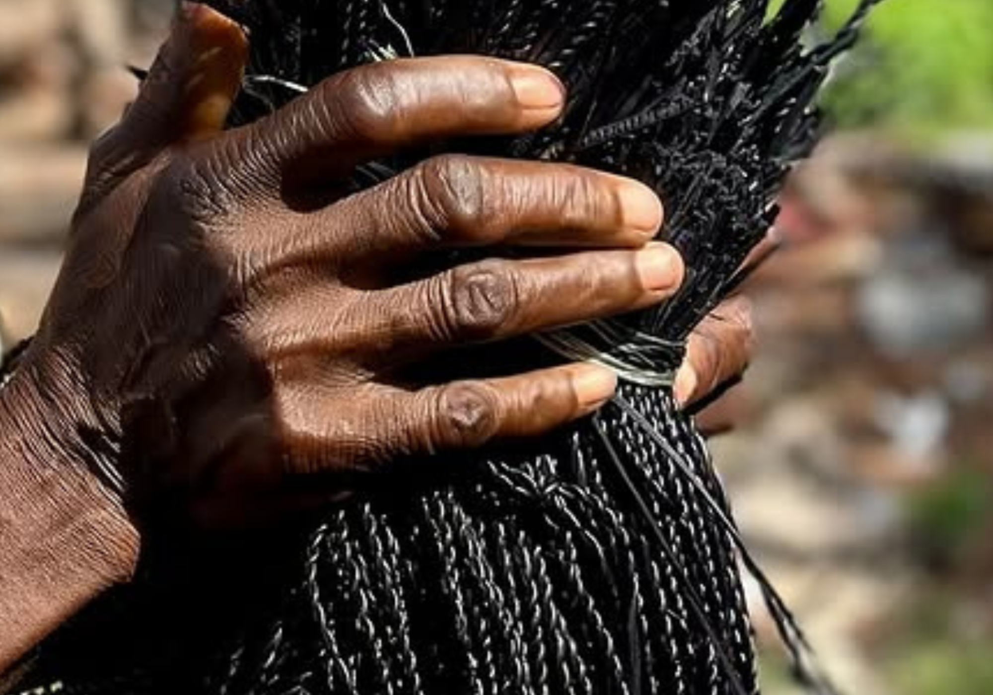 Baba Tree Baskets thrown up in the air by the basket weavers.