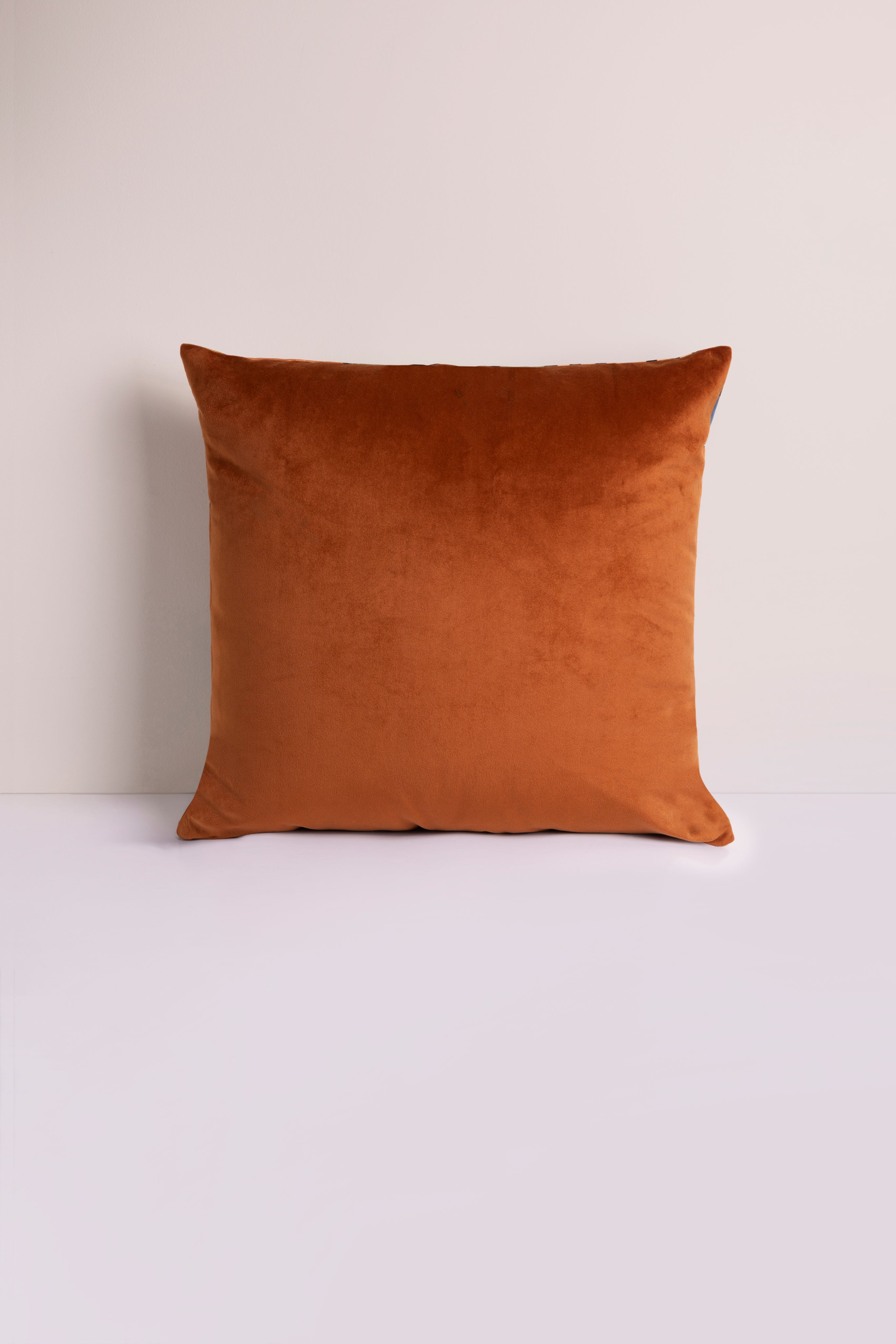Lulasclan Legae velvet pillow in sienna with plush fabric and decorative stitching for cozy home decor.